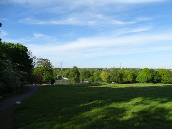 Trees on field against sky