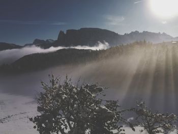 Scenic view of tree mountains against sky