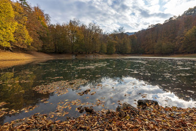 Scenic view of lake in forest against sky