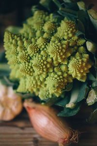 Close-up of flowers