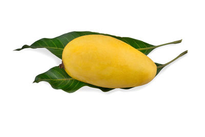 Close-up of lemon slice against white background