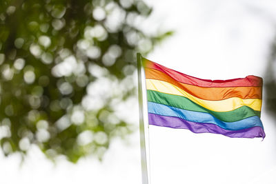 Rainbow flag in wind