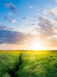 Scenic view of field against sky during sunset