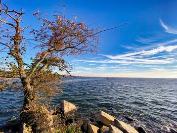 Scenic view of sea against blue sky