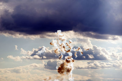 Low angle view of sheep against sky