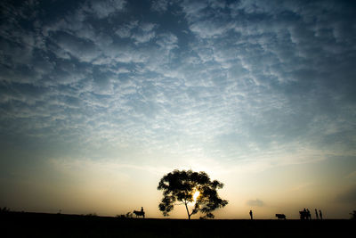 Silhouette trees on landscape against sky at sunset