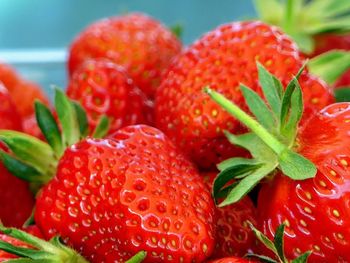 Close-up of strawberries