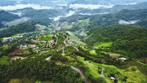 High angle view of trees and mountains