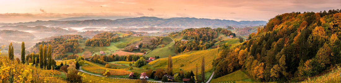 Panoramic view of trees and mountains against sky during sunset