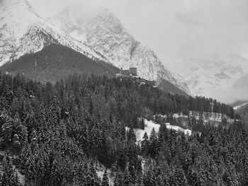 Aerial view of pine trees on snowcapped mountains against sky