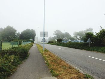 Empty road along trees