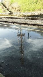 Reflection of tree in puddle