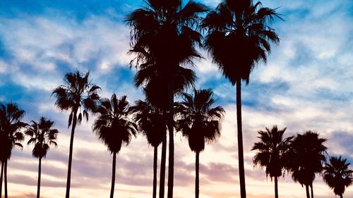 Low angle view of silhouette palm trees against blue sky