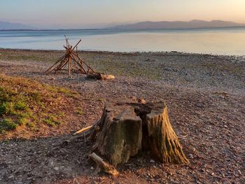 Damaged wood on beach against sky