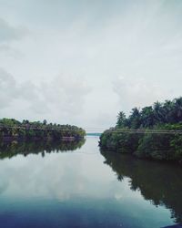 Reflection of trees in lake