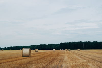 Hay bales on field against sky