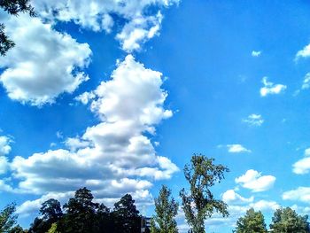 Low angle view of trees against blue sky