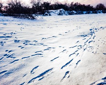 Close-up of snow covered landscape