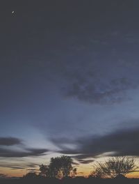 Low angle view of silhouette trees against sky at sunset