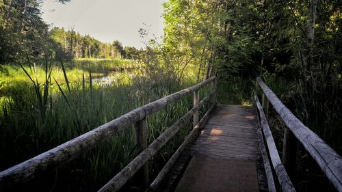 High angle view of wooden footbridge  in forest