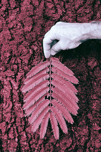 Close-up of hand holding leaves against tree trunk