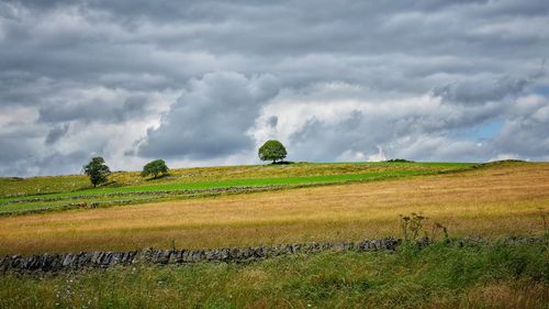 Scenic view of land against sky