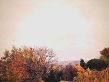 Trees against sky during autumn