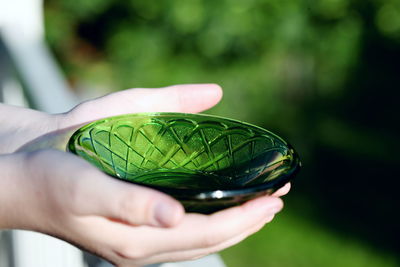 Close-up of person holding leaf