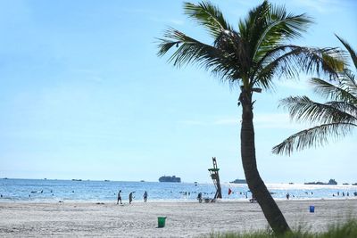 Palm trees on beach against sky