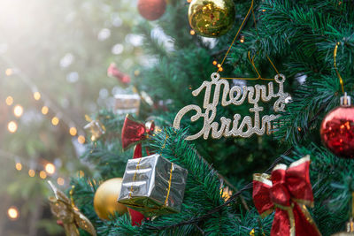 Close-up of christmas decorations hanging on tree