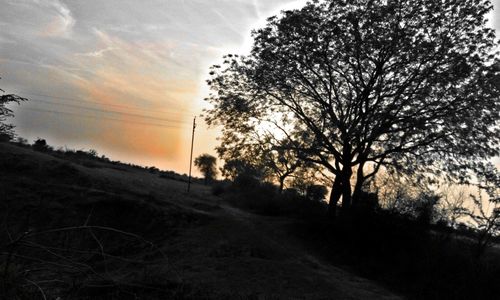 Scenic view of landscape at sunset