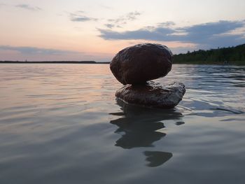 Reflection of tree in lake against sky during sunset