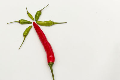 Close-up of red chili pepper against white background