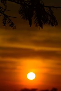 Silhouette palm trees against orange sky