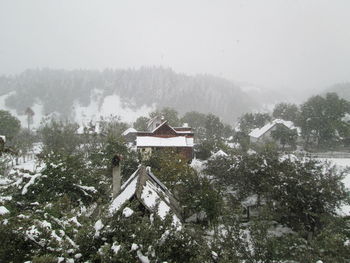 View of built structure and trees