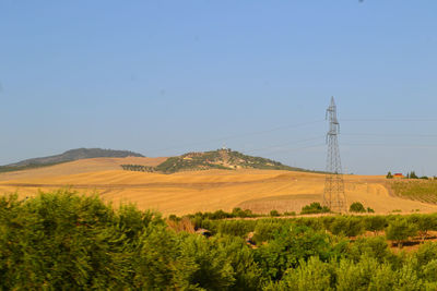 Scenic view of field against clear sky