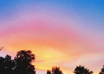 Silhouette of trees at sunset