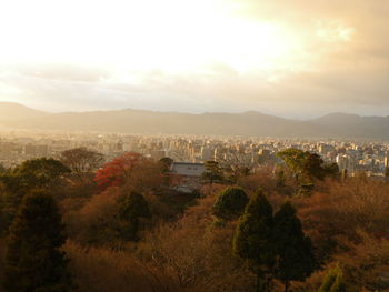 High angle view of buildings and trees against sky