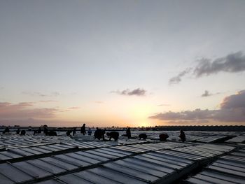 Silhouette workers working against sky during sunrise
