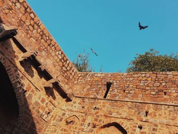 Low angle view of birds flying against clear sky