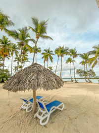 Coconut palm trees on sand against sky