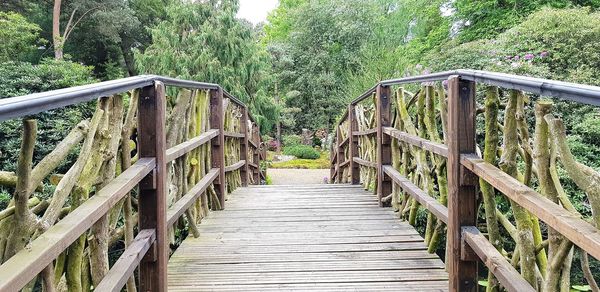 Wooden footbridge in forest