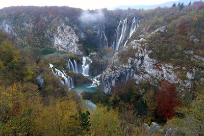 Scenic view of waterfall in forest