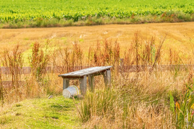 Gazebo in field