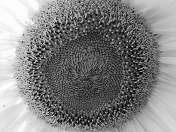 Close up of pattern