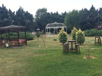 Empty chairs on field against trees in park