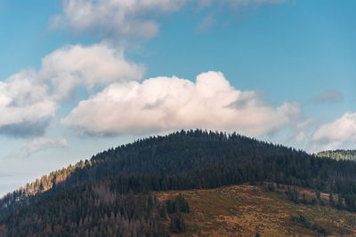 View of the mountain peak of beskid zywiecki. romanka mountain in autumn. poland