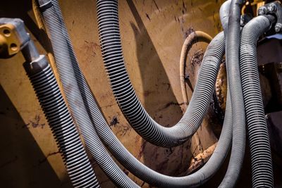 High angle view of elephant