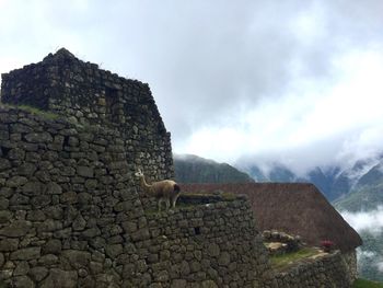View of farm against sky