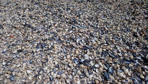 Full frame shot of stones on beach